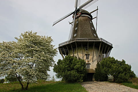 Moulin à vent, moulin, Basse-saxe, arbre, plante, ciel, architecture, la nature, structure construite, journée, énergie éolienne, production de carburant et d'électricité, éolienne, extérieur du bâtiment, conservation de l'environnement, turbine, croissance, personne, faible angle de vue, énergie renouvelable, énergie alternative, couleur verte, en plein air, 4K, CC0, domaine public, libre de droits