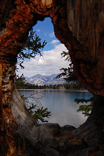 Loch, Baum, Fluss, See, Fokus, Sommer-, Reflexion, Vision, Wasser, Berg, Szenen - Natur, Himmel, Schönheit in der Natur, Ruhe, ruhige Szene, Pflanze, wolke - himmel, Natur, keine Leute, Gebirge, Kofferraum, Nicht-städtische Szene, Baumstamm, Tag, draußen, 2K, CC0, gemeinfrei, lizenzfrei