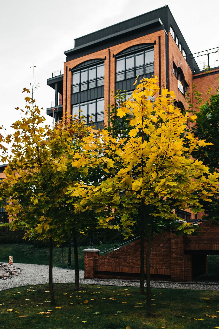 loft aparts, -, architecture, city, Loft, Architecture of the city, Lodz, Poland, bricks, old, buildings, town, windows, urban, factory, Revitalized, łódź, historic, industrial, tree, autumn, building Exterior, outdoors, built Structure, house, no People, urban Scene, yellow, plant, building, flower, nature, flowering plant, growth, day, sky, residential district, window, beauty in nature, change, 5K