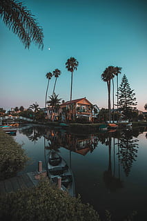 distant, brown, 2-storey, 2- storey house, surrounded, palm trees, body, water, white, boat, nighttime, canal, river, reflection, bridge, night, charming, neighborhood, house, moon, sunset, palm tree, serene, float, tree, architecture, built structure, sky, plant, building exterior, nature, building, no people, tropical climate, residential district, lake, outdoors, beauty in nature, day, coconut palm tree, 5K, CC0, public domain, royalty free