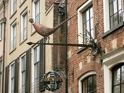 Schild, Fasan, Fassade, Deventer, Niederlande, die Architektur, gebaute Struktur, Gebäudehülle, Gebäude, Fenster, Tag, Flachwinkelansicht, keine Leute, Backstein, Wohngegend, Tier, Darstellung, Stadt, draußen, Ziegelwand, Kunst und Handwerk, Haus, Wand, Tierdarstellung, Skulptur, 4K, CC0, gemeinfrei, lizenzfrei