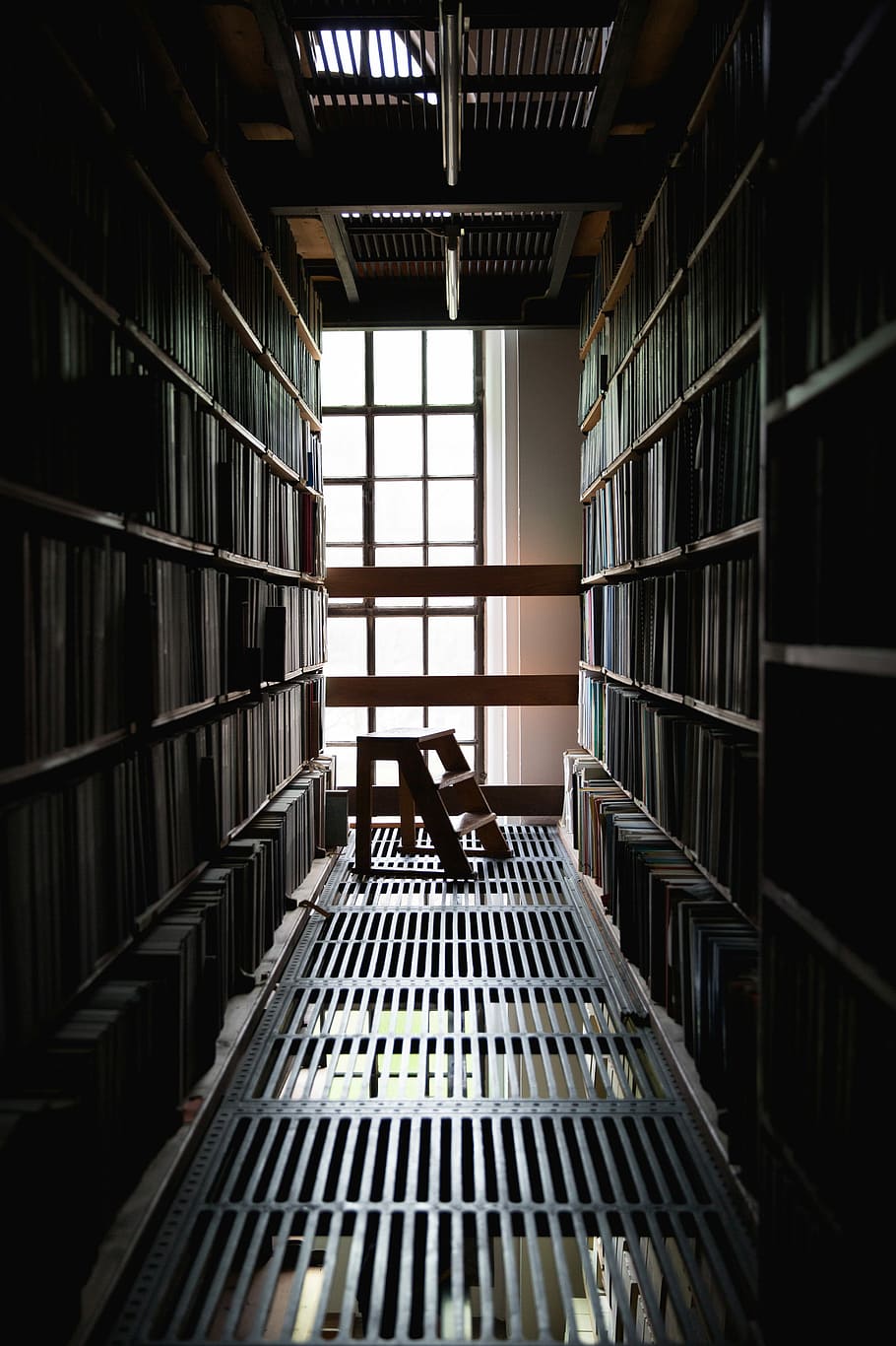 Marrone, di legno, mini scala, libreria, passo sgabello, biblioteca, scala, sgabello, libro, sala, in casa, mensola, finestra, giorno, architettura, nessuno, scaffale, modello, pubblicazione, di fila, preparativi, grande gruppo di oggetti, luce del sole, formazione scolastica, contenitore, abbondanza, natura, soffitto, 5K