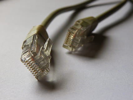 Netzwerkkabel, den Netzstecker, Kabel, Computer, Internet, Technologie, Stillleben, drinnen, Nahansicht, keine Leute, Metall, Finanzen, Reichtum, selektiver Fokus, Studioaufnahme, Verbindung, weißer Hintergrund, Währung, High Angle View, Geschäft, Computerkabel, Netzwerkanschlussstecker, Tabelle, Kunst, Kultur und Unterhaltung, gebrochen, 2K, CC0, gemeinfrei, lizenzfrei