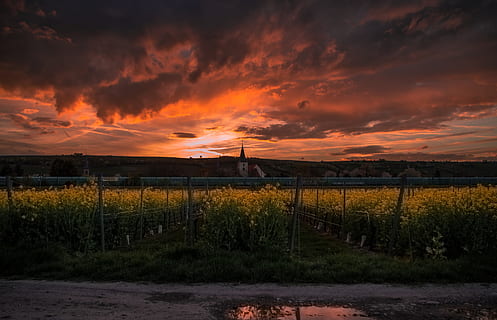 tramonto, buio, nuvole, cielo, edifici, Torre, case, agricoltura, azienda agricola, campo, verde, erba, nuvola - cielo, bellezza nella natura, scenics - natura, la tranquillità, scena tranquilla, ambiente, paesaggio, nessuno, terra, natura, pianta, recinto, colore arancione, confine, barriera, architettura, cielo drammatico, all'aperto, infausto, 4K, CC0, dominio pubblico, privo di copyright