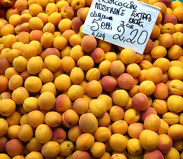 caise, fruct, portocale, fundal, alimente, portocala, desert, sănătos, mancare si bautura, mâncat sănătos, prospeţime, bunăstare, cu amănuntul, abundenţă, piaţă, grup mare de obiecte, de vânzare, text, alegere, eticheta de preț, variație, stand de piață, vedere în unghi mare, nici o persoana, vânzare, natură moartă, afișare cu amănuntul, copt, 4K, CC0, domeniu public, fără drepturi de autor