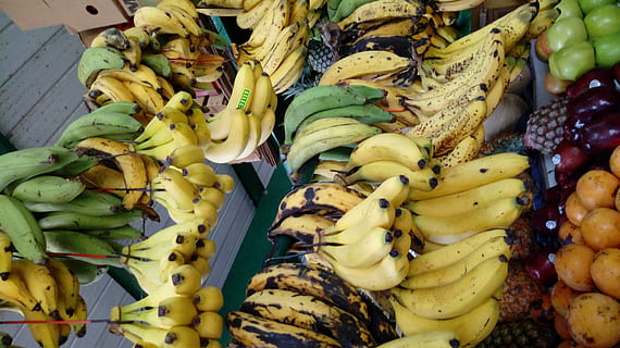 Bananas, banana, fruit, green, tropical, yellow, food, freshness, healthy Eating, nature, market, food And Drink, bunch, no people, wellbeing, retail, abundance, for sale, large group of objects, choice, still life, market stall, high angle view, variation, close-up, consumerism, 4K