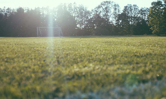 vierme, vedere, fotbal portar, peluză, înalt, copaci, fotografia cu lentile de schimbare a tiltului, obiectivul de fotbal, iarbă verde, iarba câmp, timpul zilei, camp, iarbă, copac, soare, fotbal, natură, în aer liber, rural, peisaj, Culoarea verde, sezon, luncă, vară, nici o persoana, lumina soarelui, fundaluri, liniște, o scenă liniștită, frumusețe în natură, plantă, creştere, teren, zi, sportiv, teren de joaca, mediu inconjurator, selectiv, suprafață, 2K, CC0, domeniu public, fără drepturi de autor