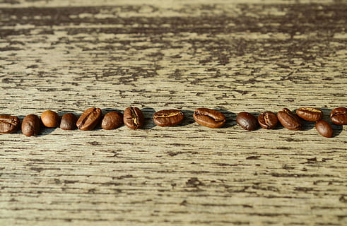 foto, foderato, Chicco di caffe, grigio, di legno, superficie, chicchi di caffè, caffè, fagioli, arrostito, Marrone, aroma, serie, allineato, natura morta, cibo, cibo e bevande, nessuno, legno - materiale, messa a fuoco selettiva, avvicinamento, Noce, dado - cibo, freschezza, grande gruppo di oggetti, in casa, tavolo, giorno, abbondanza, benessere, preparativi, concentrarsi sulle conoscenze acquisite, 4K, CC0, dominio pubblico, privo di copyright