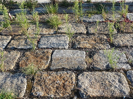 pegat, carretera, lluny, vell, inutilitzat, transitori, passat, subterrani, base antiga, sòlid, rock, cap gent, dia, planta, naturalesa, pedra - objecte, rock - object, pedra, fons, sendera, a l'aire lliure, marc complet, textura, arbre, creixement, escala, tranquil·litat, llum solar, vista d’angle alt, nivell superficial, paret de pedra, 2K, CC0, domini públic, lliure de regalies