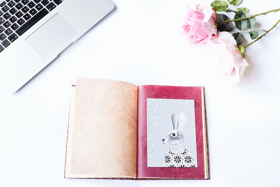 Fotohintergrund, gestylt, Foto, Hintergrund, Hase, Konzepte und Ideen, Computer, Blume, Geschäft, Laptop, keine Leute, Tabelle, pinke Farbe, kabellose Technologie, drinnen, Pflanze, blühende Pflanze, Papier-, Kommunikation, Veröffentlichung, Buch, Natur, Schönheit in der Natur, Möbel, Seite, Rose, Schreibtisch, positive Emotionen, Notizblock, Botschaft, 4K