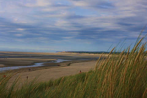 verde, campo d'erba, corpo, acqua, foto di paesaggio, sabbia, erba, spiaggia, nube, bassa marea, canna, costa, riva, montagna, umano, fiume, cielo, duna, nuvola - cielo, terra, scenics - natura, pianta, scena tranquilla, la tranquillità, bellezza nella natura, natura, paesaggio, ambiente, nessuno, scena non urbana, crescita, giorno, campo, erba di marram, erba di coda di topo, 4K, CC0, dominio pubblico, privo di copyright