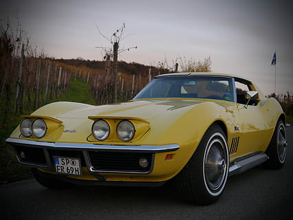 corvette, oldtimer, gul, klassiker, c3, kjøretøy, historisk, auto, gammel, lamper, bil, gammeldags, retro stylet, vintagebil, transport, samlerens bil, transportmiddel, land kjøretøy, motorkjøretøy, ingen folk, stasjonær, tre, dag, vei, himmel, natur, utendørs, reise, sidevisning, 4K, CC0, offentlig domene, opphavsrett gratis