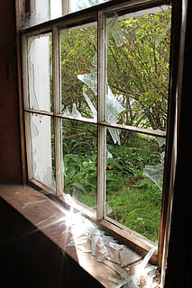 luz del sol, ventana rota, roto, ventana, sucio, abandonado, arquitectura, ligero, antiguo, grunge, Envejecido, oscuro, cuadro, ruina, escalofriante, vacío, horripilante, planta, transparente, material de vidrio, día, árbol, adentro, nadie, abierto, crecimiento, naturaleza, estructura construida, edificio, casa, reflexión, marco de la ventana, 5K