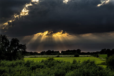 verde, piante a foglia, nero, nuvole, giorno, sera, tramonto, sole al tramonto, sole, natura, aria, sera rosso, crepuscolo, Olanda, Paradiso, nuvola - cielo, cielo, paesaggio, Cloudscape, scena rurale, all'aperto, Paesaggi, bellezza nella natura, estate, cielo drammatico, albero, tempo metereologico, scena non urbana, buio, blu, campo, prato, la tranquillità, scena tranquilla, pianta, ambiente, scenics - natura, terra, nessuno, crescita, luce del sole, erba, foresta, 5K, CC0, dominio pubblico, privo di copyright