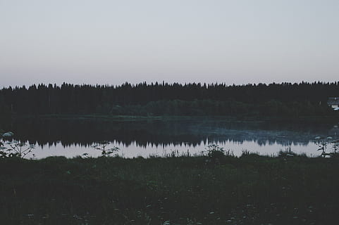 Entfernung Körper, Wasser, dunkel, Umgebung, Wald, Gras, See, Landschaft, Natur, draußen, Reflexionen, szenisch, Bäume, Ruhe, Reflexion, ruhige Szene, Schönheit in der Natur, Szenen - Natur, Pflanze, keine Leute, Himmel, Baum, Nicht-städtische Szene, Tag, Wachstum, idyllisch, Reflexionssee, 5K, CC0, gemeinfrei, lizenzfrei