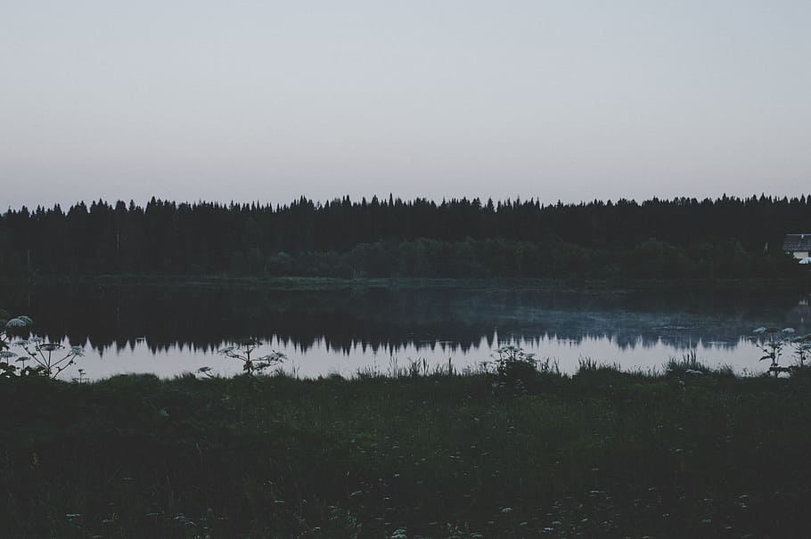 Entfernung Körper, Wasser, dunkel, Umgebung, Wald, Gras, See, Landschaft, Natur, draußen, Reflexionen, szenisch, Bäume, Ruhe, Reflexion, ruhige Szene, Schönheit in der Natur, Szenen - Natur, Pflanze, keine Leute, Himmel, Baum, Nicht-städtische Szene, Tag, Wachstum, idyllisch, Reflexionssee, 5K