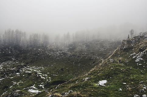 eventyr, tåge, Skov, græs, grøn, vandrer, landskab, natur, træer, scenics - natur, miljø, træ, skønhed i naturen, plante, ro, ingen mennesker, jord, bjerg, rolig scene, kold temperatur, vinter, dag, himmel, ikke-urbane scene, udendørs, nåletræ, smog, 4K, CC0, offentligt domæne, royaltyfrie
