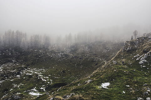 landscape photo, trees, landscape photograph, mountain ranges, coated, mist, day, time, barren, desolate, landscape, outdoor, cold, nature, fog, forest, tree, mountain, scenics, outdoors, no people, cold temperature, scenics - nature, environment, tranquility, beauty in nature, land, tranquil scene, plant, water, sky, non-urban scene, travel, coniferous tree, pine woodland, pine tree, smog, 4K, CC0, public domain, royalty free