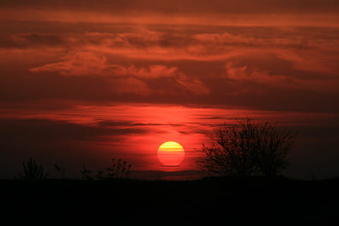 solnedgang, sol, rød, himmel, Brann, om kvelden, Sky, skjønnhet i naturen, naturskjønnhet - natur, sky - himmel, silhouette, ro, rolig scene, oransje farge, anlegg, natur, dramatisk himmel, ingen folk, miljø, ærefrykt, tre, idylliske, landskap, atmosfærisk stemning, utendørs, mørk, romantisk himmel, 4K, CC0, offentlig domene, opphavsrett gratis