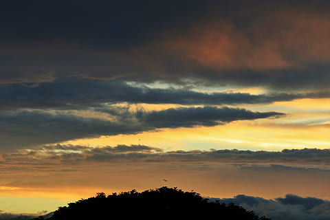 apus de soare, nori, dungi, întuneric, albastru, aur, portocale, galben, ușoară, natură, nor - cer, cer, amurg, în aer liber, Cloudscape, vreme, scenics, liniște, copac, scenice - natura, o scenă liniștită, frumusețe în natură, siluetă, plantă, nici o persoana, dramatic cer, idilic, culoare portocalie, mediu inconjurator, atmosferă, vedere unghiulară joasă, 4K, CC0, domeniu public, fără drepturi de autor