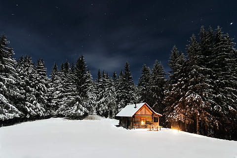 des arbres, marron, maison, maison brune, neige, cabine, hiver, la nature, forêt, paysage, arbre, Montagne, froid - température, en plein air, ciel, bleu, personne, paysages, des bois, blanc, scène non urbaine, gel, chalet, scène tranquille, saison, beauté dans la nature, cabane, les vacances, température froide, nuit, paysages - nature, architecture, illuminé, plante, étoile - espace, bâtiment, structure construite, extérieur du bâtiment, pin, conifère, 1080P, CC0, domaine public, libre de droits