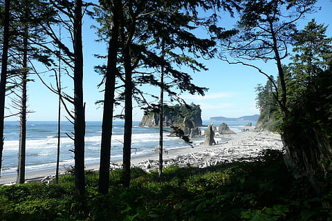 rubis, plage, plage, washington, Etats-Unis, paysage, rubis, plage, Washington, littoral, pacifique, parc national olympique, la nature, roches, eau, océan, buttes, Ruby Beach, côte, mer, arbre, paysages, plante, beauté dans la nature, ciel, terre, paysages - nature, tranquillité, scène tranquille, personne, croissance, journée, architecture, en plein air, scène non urbaine, structure construite, 2K, CC0, domaine public, libre de droits