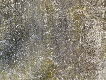 paret de formigó, fons, estructura, textura, brut, resistent, esquerdes, taques, irregular, pàtina, molsa, algues, grunge, vell, esquerdat, fràgil, paret, concret, ratllat, envelliment, trencar, marc complet, cap gent, dia, planta, funció de construcció de parets, naturalesa, patró, a l'aire lliure, arbre, primer pla, creixement, color verd, estructura construïda, bellesa a la natura, Color blanc, resum, terra, fons abstractes, 2K, CC0, domini públic, lliure de regalies