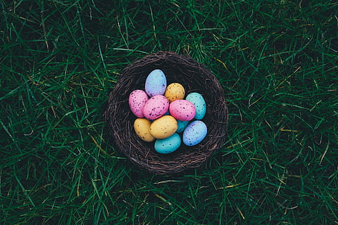 basket, colorful, colourful, easter eggs, eggs, grass, woven basket, easter, multi Colored, food, cultures, pink Color, easter egg, celebration, egg, high angle view, food and drink, nature, holiday, no people, directly above, plant, sweet food, container, day, outdoors, temptation, 2K, CC0, public domain, royalty free