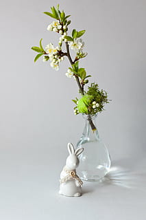 hare, påske, Kristus er steget, ferie, påske bagning, hvid, Søndag, foråret hare porcelæn, blomster, blomstrende gren, grønne blade, blomstrende træ, flor, levende natur, natur, have, klækkeligt, kan, afdeling, blade, blomme farve, vase, dekoration, blomst, plante, blomstrende plante, indendørs, skrøbelighed, friskhed, skønhed i naturen, ingen mennesker, sårbarhed, hvid farve, bord, tæt på, studio skud, stilleben, vækst, blomsterhoved, plante del, blomster arrangement, 4K, CC0, offentligt domæne, royaltyfrie