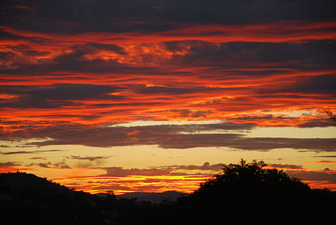 apus de soare, nori, Canberra, cer, natură, soare, peisaj, ușoară, lumina soarelui, vară, seară, orizont, Cloudscape, vreme, amurg, natural, pitoresc, portocale, însorit, dramatic, nor - cer, frumusețe în natură, scenice - natura, siluetă, culoare portocalie, liniște, o scenă liniștită, idilic, copac, nici o persoana, dramatic cer, în aer liber, plantă, scenă non-urbană, maiestuos, mediu inconjurator, 4K, CC0, domeniu public, fără drepturi de autor