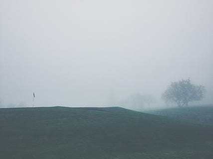 landskabsfoto, tåget, græsfelt, landskab, Foto, græs, Mark, felter, tåge, grå, grøn, træer, natur, vejr, skønhed i naturen, ro, rolig scene, himmel, miljø, ingen mennesker, scenics - natur, plante, træ, dag, kopiere plads, jord, morgen, ikke-urbane scene, udendørs, idyllisk, diset, 2K, CC0, offentligt domæne, royaltyfrie