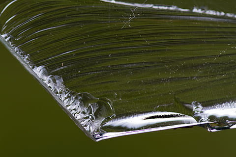 vaso, borde, estructura, modelo, agrandar, animal, agua, temas de animales, nadie, naturaleza, vertebrado, un animal, fauna animal, animales en la naturaleza, movimiento, de cerca, nadando, pez, día, al aire libre, parte del cuerpo del animal, mar, submarino, marina, 5K, CC0, dominio público, libre de derechos
