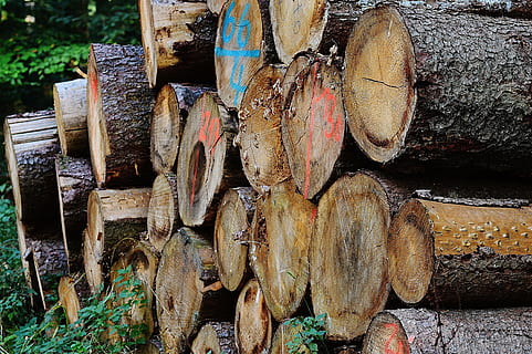 troncos de árvores, madeira, pilha, empilhado, floresta, holzstapel, registro, madeira - material, pilha de lenha, desmatamento, lenha, indústria madeireira, árvore, grande grupo de objetos, geração de combustível e energia, natureza, abundância, problemas ambientais, dia, combustível fóssil, ninguém, arranjo, ao ar livre, 4K, CC0, domínio público, royalty free