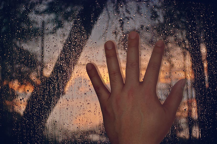 mão, tempestade, tempestade, janela, gotas, por do sol, chuva, janela, mão humana, parte do corpo humano, solta, medo, Horror, Palma, parte do corpo, uma pessoa, pessoas reais, dedo humano, dedo, tocando, fechar-se, vidro - material, molhado, estilos de vida, dentro de casa, perspectiva pessoal, atividade de lazer, transparente, natureza, agua, 4K