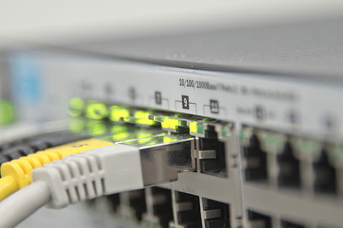 Fermer, photo, blanc, sortie Ethernet du concentrateur, commutateur Ethernet, centre, sortie, ethernet, commutateur, réseau, il, distributeur, non, puce, composant, le web, administration, lien, pc, l'Internet, traitement de l'information, les liaisons, surveillance, câble patch, CPU, Les données, désordre, lan, bleu, macro, câbles de réseau, La technologie, la communication, prise de connexion réseau, câble, mise au point sélective, réseau informatique, ordinateur, câble d'ordinateur, routeur, Technologie sans fil, câblé, la biologie, équipement informatique, électricité, équipement, science, serveur de réseau, personne, communications globales, composant électrique, 4K