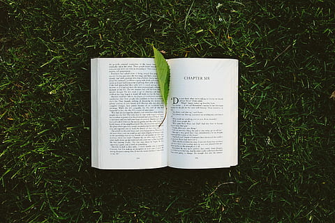 grass, Book, reading, leaf, literature, nature, outdoors, green Color, sheet music, musical note, music stand, high angle view, paper, page, plant, publication, field, land, text, directly above, day, open, growth, communication, western script, no people, 5K, CC0, public domain, royalty free