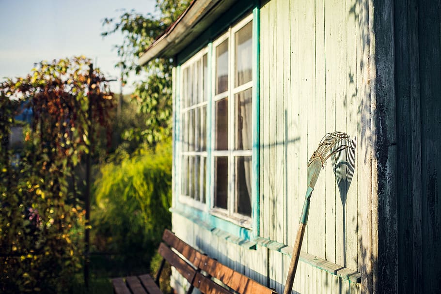 haven rake, hælder, hvid, træ-, væg, dagtimerne, blå, Brun, skur, rive, vindue, træ, bænk, hytte, kabine, hus, plante, landskab, planking, rustik, landdistrikterne, dyr, arkitektur, dyre temaer, bygget struktur, bygning udvendig, dag, fugl, dyreliv, ingen mennesker, træ - materiale, bygning, hvirveldyr, fokus på forgrunden, udendørs, boligområde, natur, 4K