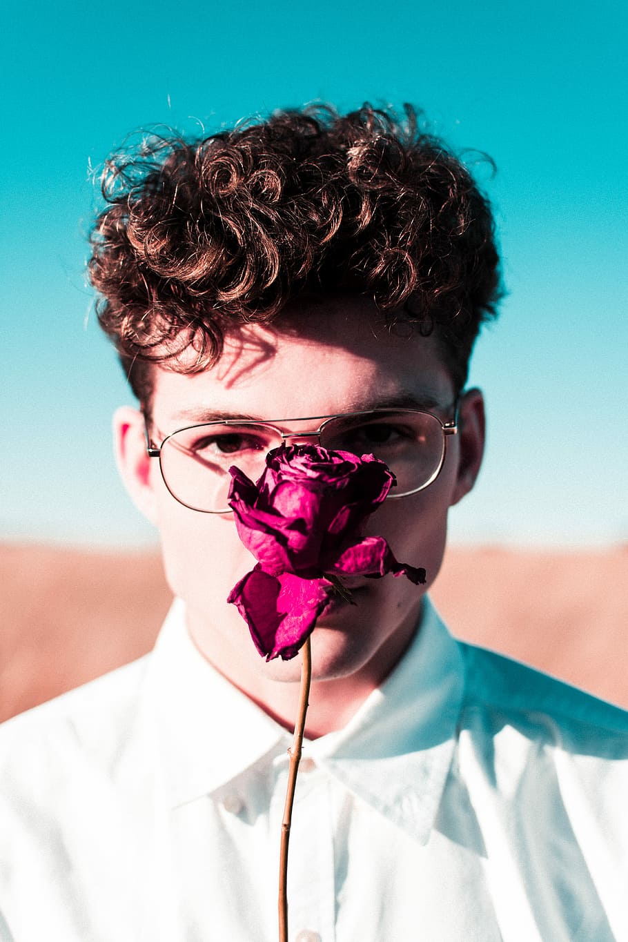 Mann, Rose, Vorderseite, Gesicht, hinter, Rosa, Kerl, Brille, Lockige haare, Porträt, Kopfschuss, Vorderansicht, eine Person, echte Menschen, Kamera betrachten, Lebensstile, Natur, Freizeitbeschäftigung, Kind, Fokus auf den Vordergrund, Tag, Himmel, junger Erwachsener, Kindheit, menschliches Körperteil, Sonnenlicht, menschliches Gesicht, Frisur, 5K