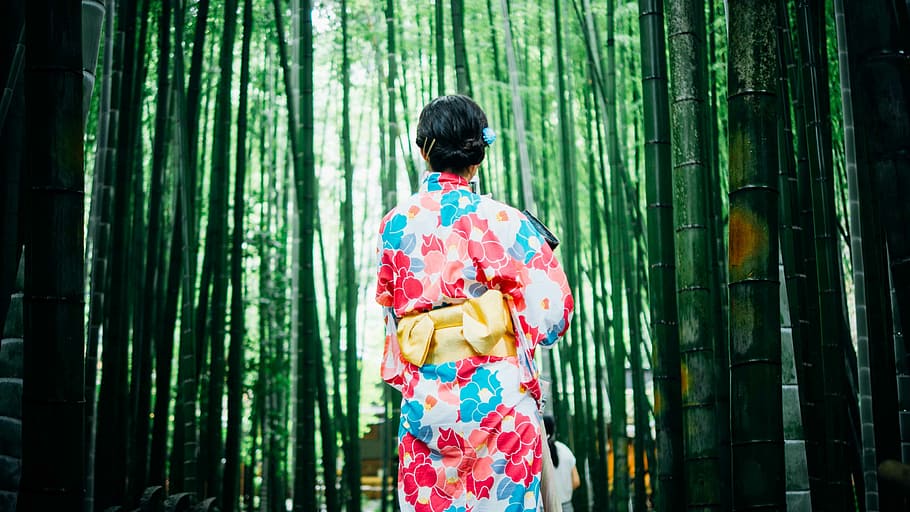 esquena, vista, dona, rosa, vermell, blanc, blau, floral, vestit japonès, envoltat, foto de bambús, vermell, blanc i blau, japonès, vestit, bambús, foto, quimono, Japó, cultura japonesa, ètnia japonesa, geisha, prefectura de Kyoto, ciutat de Kyoto, gent, dones, una persona, geisha a l'entrenament, ètnia asiàtica, cultures, gion, roba tradicional, femelles, adult, vista del darrere, només adults, només dones, persones reals, activitat d'oci, estils de vida, de peu, tres quarts de longitud, dia, roba, color verd, cortina, patró, a l'aire lliure, túnica, motiu floral, pentinat, 4K