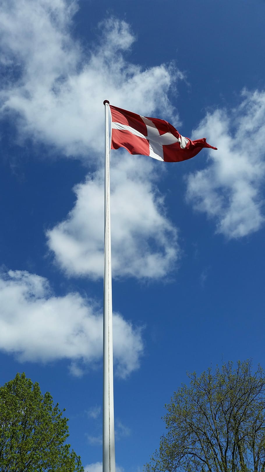 Danmark, flag, luft, patriotisme, himmel, lav vinkel visning, sky - himmel, dag, træ, plante, natur, rød, ingen mennesker, blå, pol, miljø, vind, udendørs, stolthed, vinke, stribet, uafhængighed, nationalt ikon, 5K