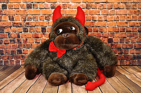 mainan lunak, monyet, karnaval, setan, lucu, tanduk, kejam, boneka binatang, mainan, boneka beruang, mamalia, bata, dinding bata, dinding, tema binatang, hewan, hewan peliharaan, perayaan, lokal, satu binatang, fitur dinding - bangunan, binatang lokal, hari Natal, merah, potret, tidak ada orang, liburan, dalam ruangan, melihat kamera, bertulang belakang, 5K, CC0, domain publik, bebas royalti