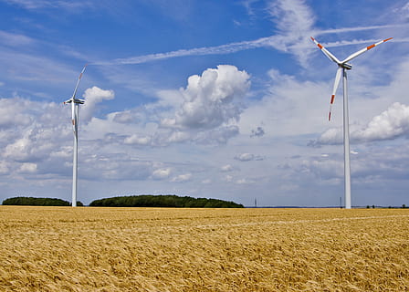 windräder, paisatge, camps, cel, energia eòlica, núvols, marró, blau, medi ambient, terra, aerogenerador, turbina, camp, energia renovable, escena rural, conservació del medi ambient, generació de combustible i energia, energia alternativa, naturalesa, núvol - cel, agricultura, planta, dia, bellesa a la natura, escenics - natura, cap gent, a l'aire lliure, vent, recursos sostenibles, 5K, CC0, domini públic, lliure de regalies
