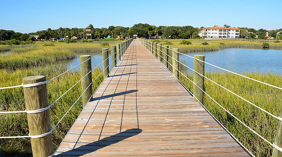 water, nature, sky, summer, grass, boardwalk, walkway, wetland, swamp, marshland, florida, usa, tropical climate, green, landscape, sunny, outdoor, natural, day, environment, architecture, plant, built structure, direction, land, clear sky, the way forward, tree, tranquility, lake, scenics - nature, no people, connection, diminishing perspective, outdoors, 4K, CC0, public domain, royalty free