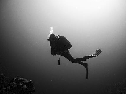 person, diving, underwater, grayscale photo, divers, water, underwater world, black and white, scuba Diving, underwater Diving, diving Into Water, sea, adventure, men, undersea, sport, aquatic sport, exploration, swimming, one person, diving equipment, diving flipper, leisure activity, nature, full length, aqualung - diving equipment, vacations, marine, 2K, CC0, public domain, royalty free