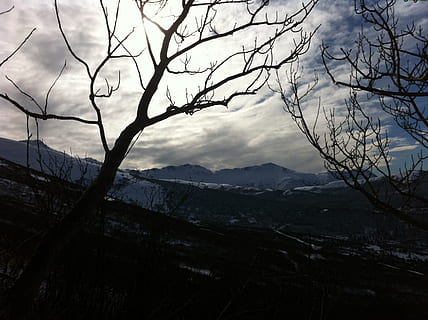 alaska, efterår, stormfuld, himmel, bjerg, skønhed i naturen, træ, scenics - natur, bare træ, sky - himmel, ro, rolig scene, ingen mennesker, afdeling, natur, landskab, plante, ikke-urbane scene, bjergkæde, miljø, udendørs, dag, 2K, CC0, offentligt domæne, royaltyfrie