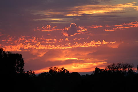 Sonnenuntergang, Feuer, Wolkengebilde, Abend, Himmel, Wolken, Atmosphäre, Horizont, szenisch, Sonnenuntergangsjäger, wunderschönen, Sonnenuntergang Fotografie, tolle, Blick auf den Sonnenuntergang, Sonnenuntergang Farben, goldener Sonnenuntergang, das Leuchten des Sonnenuntergangs, Sonnenuntergang Licht, romantisch, Silhouette, Herrlich, Abendhimmel, Baum, Natur, wolke - himmel, Dramatischer Himmel, Schönheit in der Natur, Szenen - Natur, orange Farbe, ruhige Szene, Ruhe, Pflanze, keine Leute, idyllisch, Nicht-städtische Szene, Umgebung, Wald, draußen, Scheu, romantischer Himmel, 5K, CC0, gemeinfrei, lizenzfrei