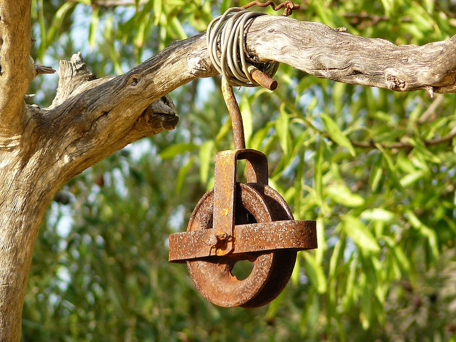 vents, cabrestant, conduir, roda, cable, paper, metall, inoxidable, rovellat, bobina, eines, mecànica, rotllo de ferro, malalt, branca, arbre, arreglant, dispositiu d’elevació, antiguitat, vell, suspensió, penjar, aixecar, arreglar, centrar-se en primer pla, cap gent, planta, naturalesa, primer pla, dia, penjant, a l'aire lliure, marró, resistent, material de fusta, vista d’angle baix, temes d'animals, animal, fauna animal, 2K
