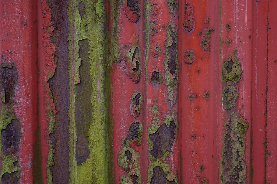 Rost, Textur, Hintergrund, Vollbild, Hintergründe, keine Leute, Nahansicht, Tag, Wachstum, rot, Pflanze, Muster, Metall, verwittert, draußen, grüne Farbe, rostig, alt, Schönheit in der Natur, Land, texturiert, in einer Reihe, Natur, 5K