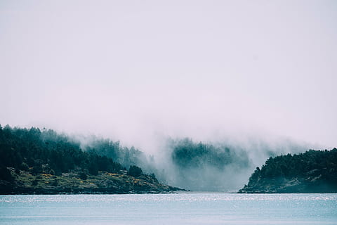 corpo, acqua, alberi, chiaro, lago, verde, albero, fotografia, paesaggio, natura, nebbia, nuvole, grigio, all'aperto, bellezza nella natura, la tranquillità, scena tranquilla, Paesaggi, nessuno, giorno, ambiente, scenics - natura, pianta, cielo, inverno, terra, nuvola - cielo, montagna, temperatura fredda, copia spazio, Pino, albero di conifere, potere in natura, bosco di pini, 4K, CC0, dominio pubblico, privo di copyright