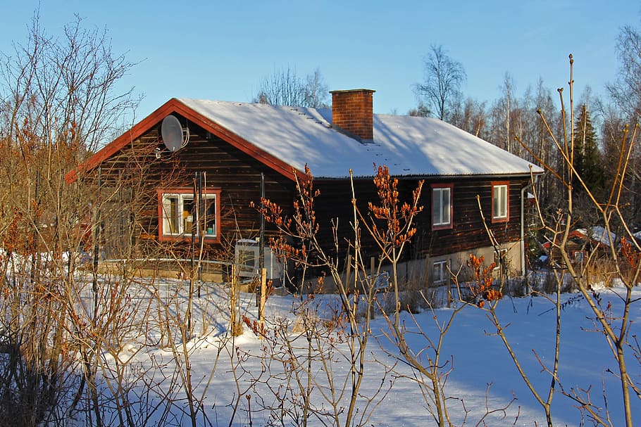 neu, hivern, fred, bonic, vermell, tradicional, fusta, casa de camp, suec, camp, casa, blanc, encantador, únic, dalarna, tallberg, suècia, europa, escandinavia, viatjar, turisme, blau, cel, vacances, escènic, arquitectura, estructura construïda, exterior de l'edifici, edifici, arbre, planta, temperatura de fred, naturalesa, dia, cap gent, material de fusta, arbre nu, abandonat, cel clar, a l'aire lliure, deteriorament, 2K